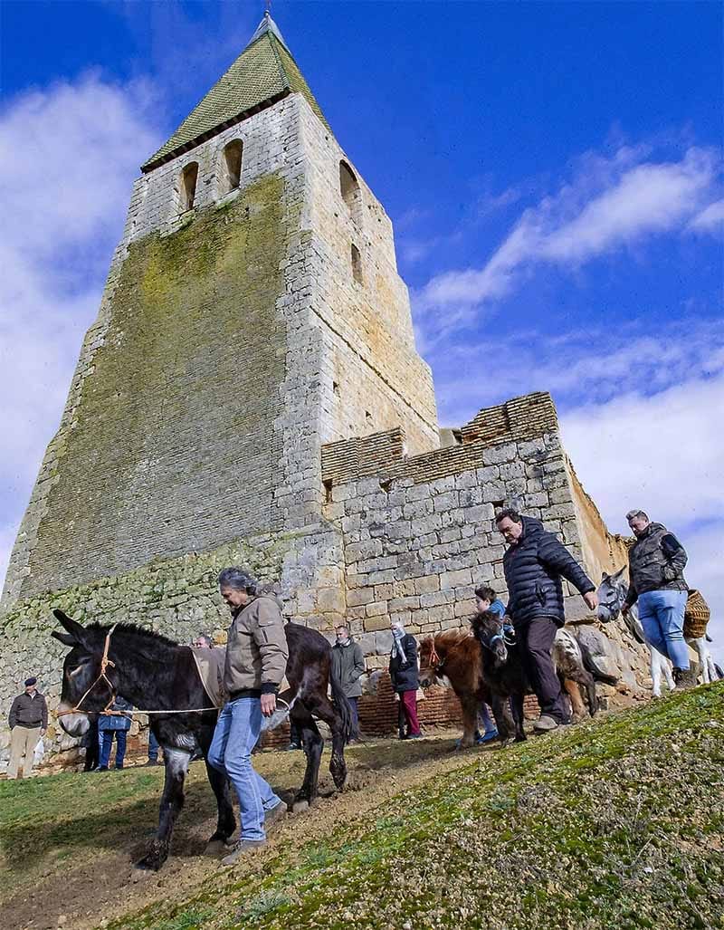 San Antón 2024-2