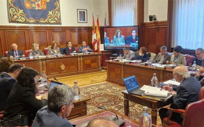 La Diputación aprueba en Pleno su Plan de Empleo Local 2024