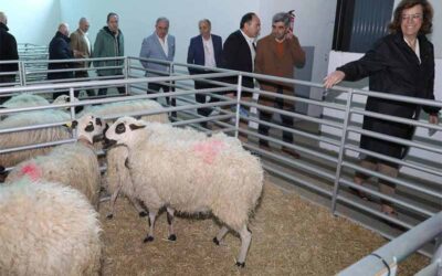 La feria de raza churra reivindica la carne de ovino y reclama su puesta en valor