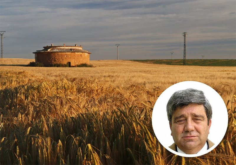 Palomares y agua, el tesoro de Castromocho