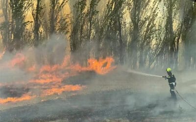 Arden más de 40 hectáreas en un incendio en un terreno agrícola de Grijota